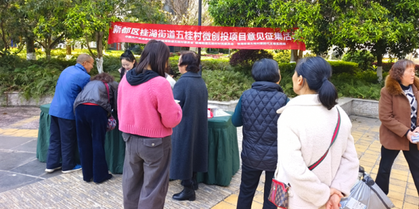 五桂村微创投实名征集活动扎实开展  广聚民声民意共促社区共治